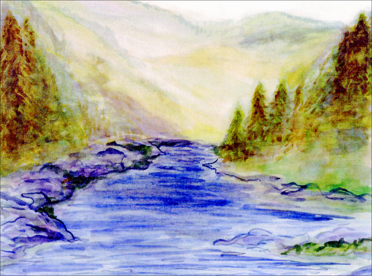 Forest Stream